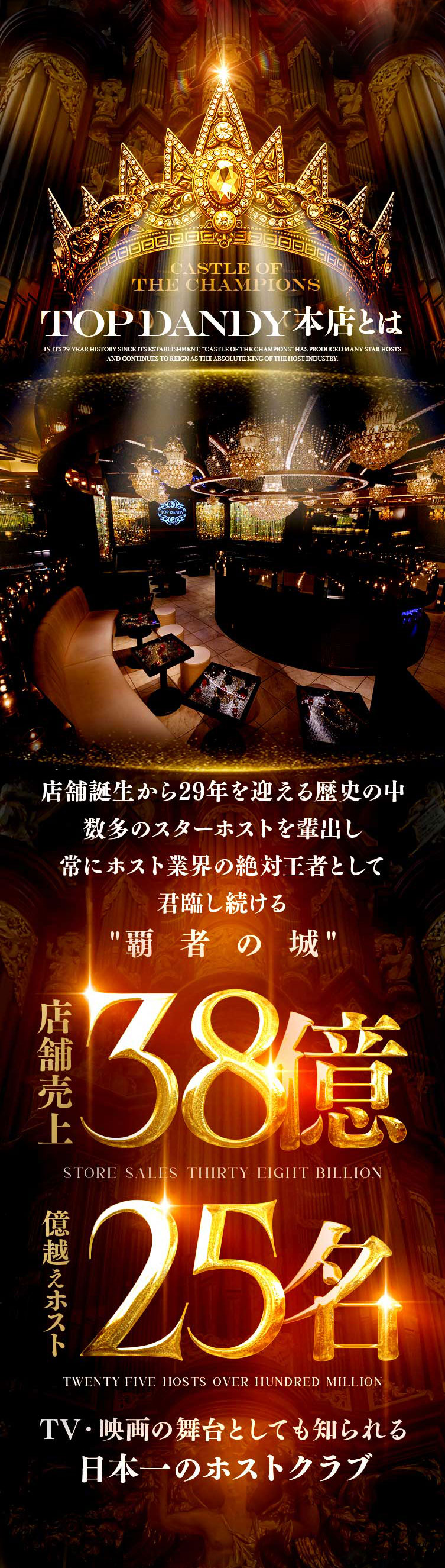 キャスト実績例